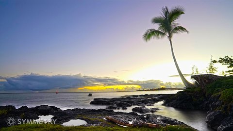 Hilo Bay