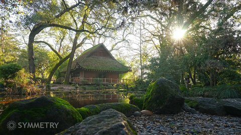 Japanese Tea Garden
